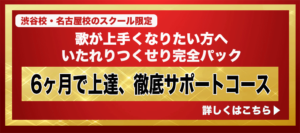 6ヶ月で上達、徹底サポートコース　歌が上手くなりたい方へ　いたれりつくせり完全パック