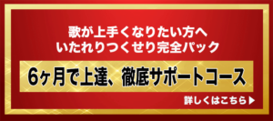 6ヶ月で上達、徹底サポートコース